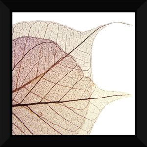 Tableau encadré 60x60 - Feuilles rose