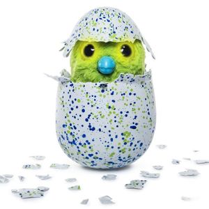 HATCHIMALS - Hatchimal Draggles Vert (oeuf surprise)