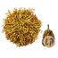 BIJOUX DEGUISEMENT 2 BATONS POM POM GIRL DORÉ DEGUISEMENT FETE JOU…