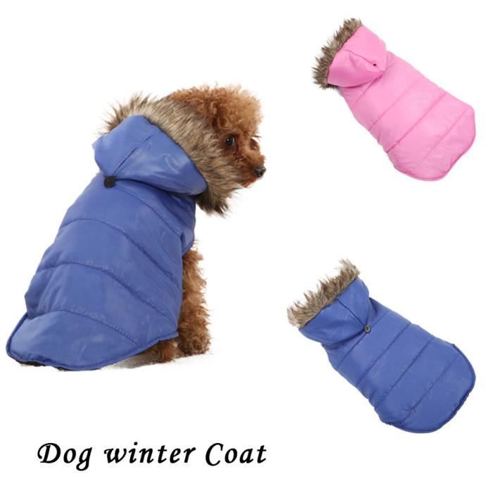 V tements pour chien - Un Chien En Ville