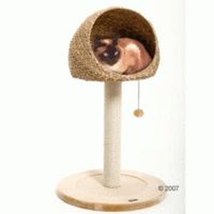 Chat en ligne coco