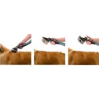 ACCESSOIRES ET PIECES - ENTRETIEN Dyson GROOM