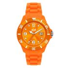 MONTRE BRACELET ICE WATCH Montre Big Mixte