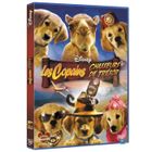  DVD Les copains chasseurs de trésor