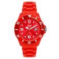 MONTRE BRACELET ICE WATCH Montre Big Mixte