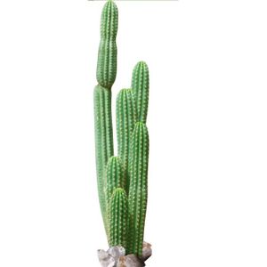 PLAGE Sticker Décor mural adhésif 3XL - Cactus cierge38x175 cm
