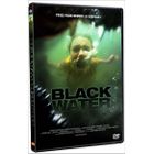 DVD FILM DVD Black water