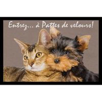  tapis d'entree 40x60 cm antiderapant chien chat