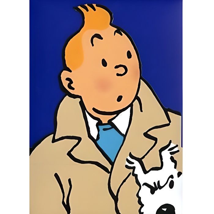 premiere rencontre entre tintin et haddock