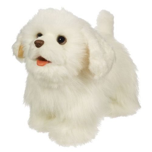 petit chien en peluche