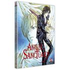 DVD DESSIN ANIME / ANIMATION / MANGA DVD Angel sanctuary