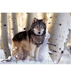 PUZZLE Clementoni Winter hunting Puzzle