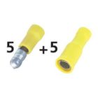 COSSES - FILS 10 cosses rondes jaunes males et femelles