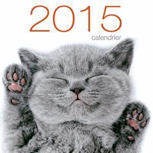 Calendrier mural Chats 2015 Achat / Vente livre Collectif White Star