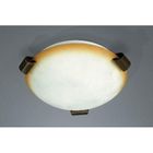 LUSTRE - SUSPENSION - PLAFONNIER PLAFONNIER PHILIPS INTERIEUR - MA 319503110