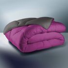 COUETTE Couette bicolore 220x240cm groseille & grise