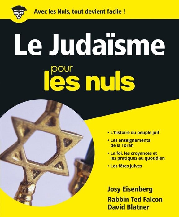 Le Judaïsme Pour Les Nuls Achat Vente Livre Ted Falcondavid Blatner Editions First Parution 0442