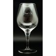 CARAFE A VIN Carafe Graal Decanteur Grand Cru 1,2L