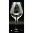 CARAFE A VIN Carafe Graal Decanteur Castillon Côtes de Bordeaux