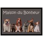  tapis d'entree 40x60 cm antiderapant faimlle ch…