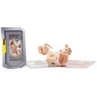 FIGURINE Bakugan - Figurine Battle Gear + 2 cartes
