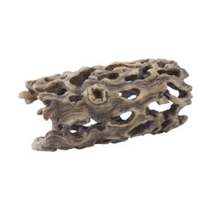 EXO TERRA Décoration Cactus Cholla S - Pour terrarium
