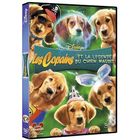 DVD FILM DVD Les copains et la légende du chien maudit