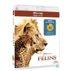 PRECOMMANDE BLU-RAY Blu-Ray Félins