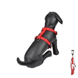 Harnais rouge pour chien réglable de 50 a 70 cm x largeur 20 mm