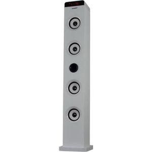 BLAUPUNKT BLP9200 Tour de son Bluetooth 30W - Blanc