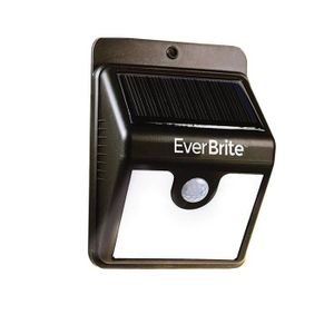 Lampe LED de surveillance avec détecteur de mouvement ? énergie solaire Everbrite