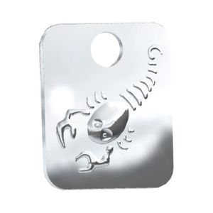Pendentif Astro Scorpion personnalisé