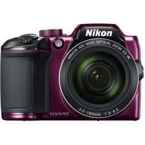 NIKON COOLPIX B500 Appareil photo numérique Bridge