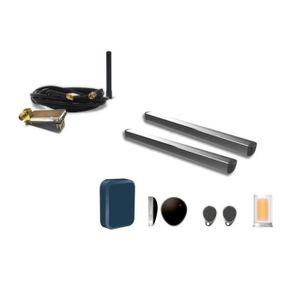 EXTEL Kit de motorisation ? vérins Riesco pour portail de 2 vantaux pleins ou ajourés 24V avec kit intelligent Filia