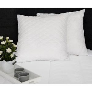 DORMIPUR Lot de 2 oreillers ? Mémoire de Forme DREAMER 60x60cm