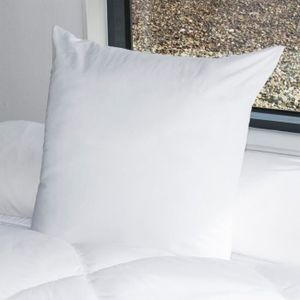 BLEU CALIN Lot de 2 oreillers PHYTOPURE 60x60