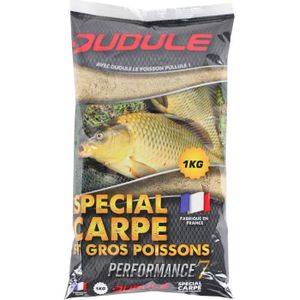 DUDULE Amorce Spécial Carpe 1kg