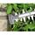 TAILLE-HAIE - SECATEUR  BOSCH Taille-haies électrique 700 W AHS 6000 Pro-T