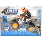 RADIOCOMMANDE TERRESTRE Quad Radiocommandé 1/10ième Prêt à rouler Gris