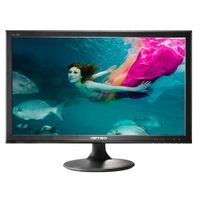 ECRAN PC Hanns-G HL195ABB