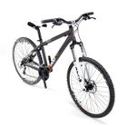 VTT RALEIGH VTT Dirt Flip Homme