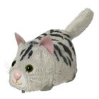 UNIVERS MINIATURE COMPLET Furry Frenzies Senorita Scamps