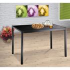 TABLE A MANGER AVEC OU SANS CHAISE - RALLONGE Table MONA 110 cm en verre noir