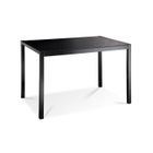 TABLE A MANGER AVEC OU SANS CHAISE - RALLONGE Table MONA 110 cm en verre noir