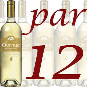 VIN BLANC Carton de 12 Oustric Sauvignon Blanc 2011