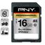 PNY SD Class 10 Professional 16 Go
