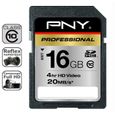CARTE MEMOIRE PNY SD Class 10 Professional 16 Go