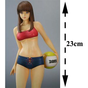 FIGURINE Dead or alive Xtreme Hitomi 23cm