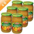 COMPOTE ANDROS Pomme Nature 6x740g