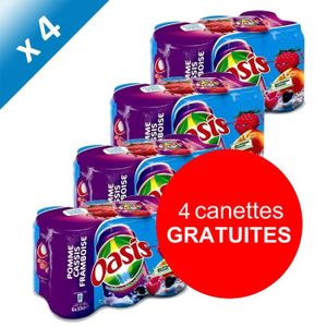 SODA-THE GLACE OASIS Pomme Cassis Framboise 24X33CL